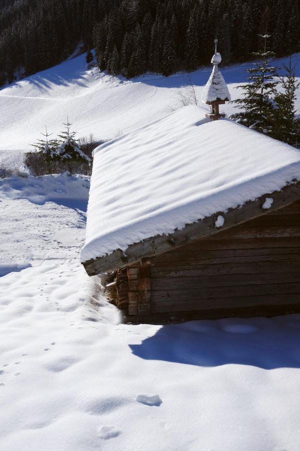 Unterlutaschg-chalet Am Hof Slingia