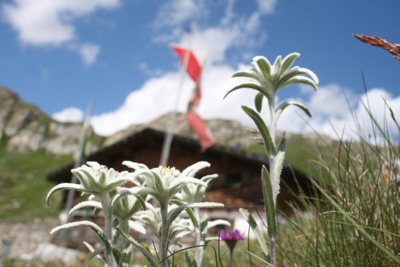 Unterlutaschg-chalet Am Hof Appartement *